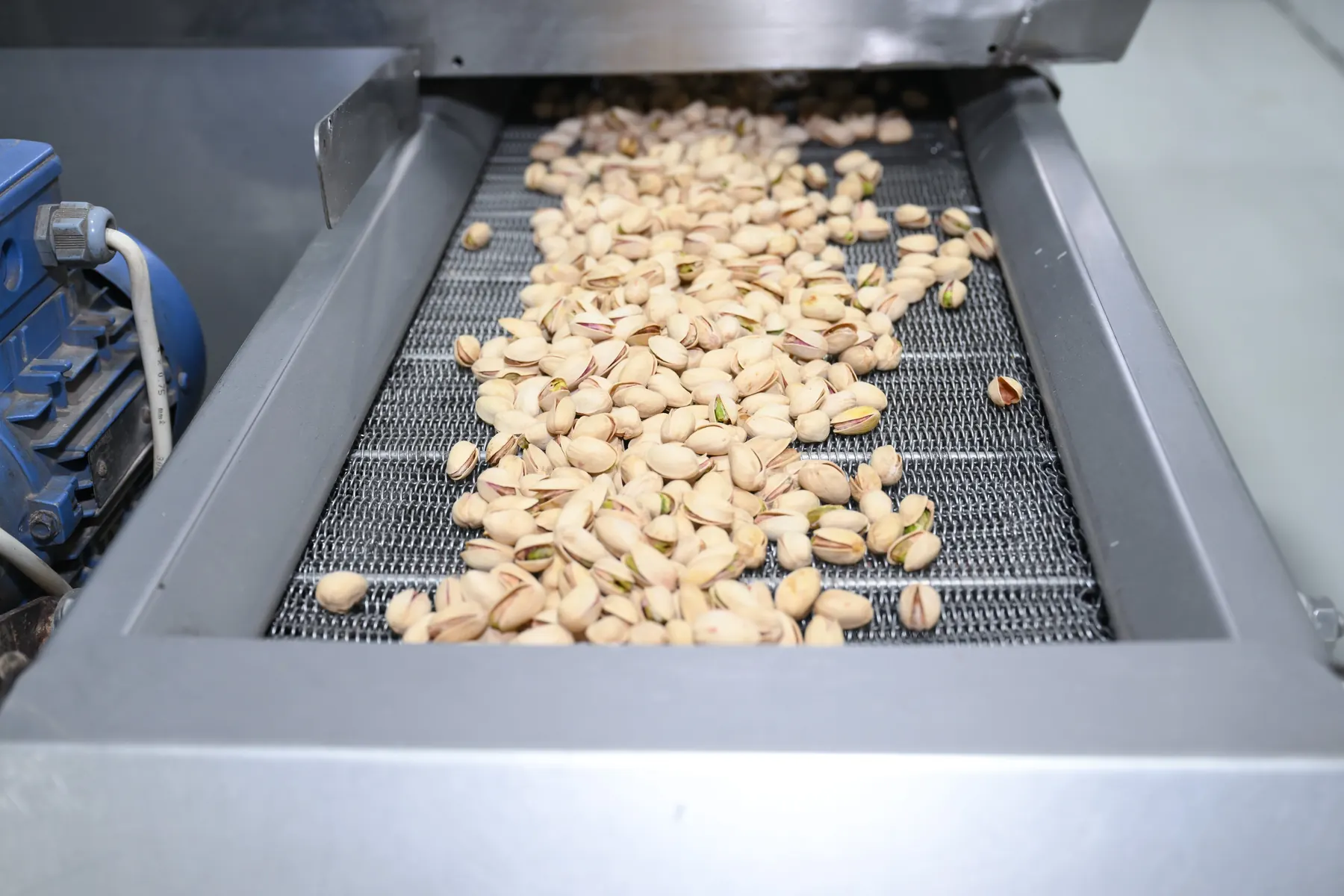 Food manufacturing line
